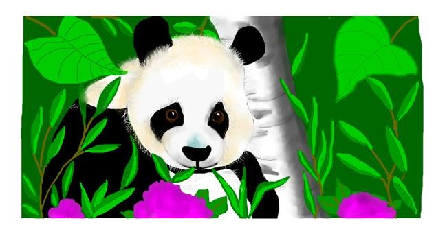 Drawing of Panda by DebbyLee
