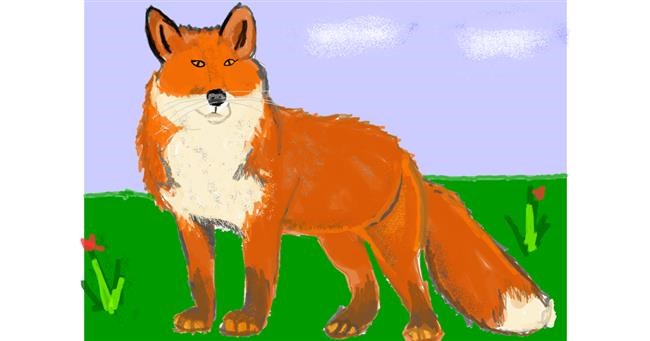 Drawing of Fox by Vicki