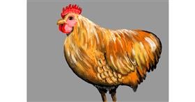Drawing of Chicken by SAM AKA MARGARET 🙄