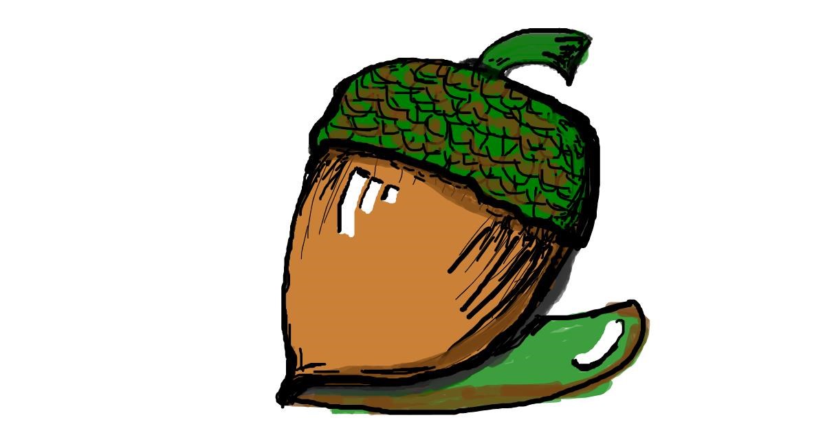 Drawing of Acorn by Janny Boy
