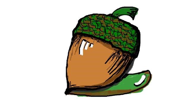 Drawing of Acorn by Janny Boy