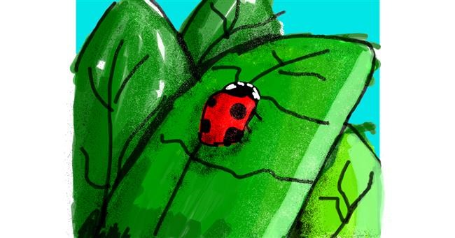 Drawing of Ladybug by Data