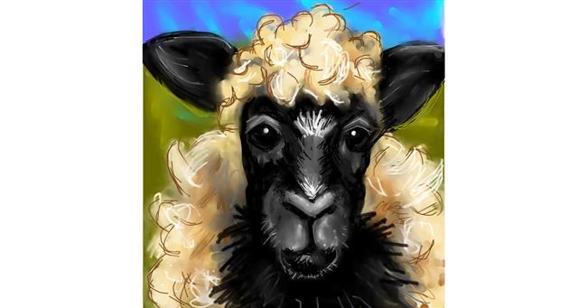 Drawing of Sheep by KayXXXlee