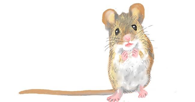 Drawing of Mouse by GJP