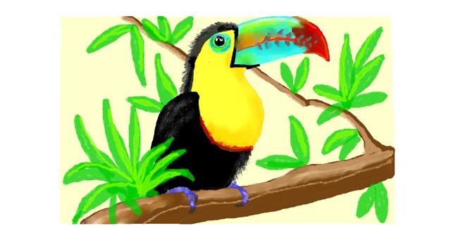 Drawing of Toucan by DebbyLee