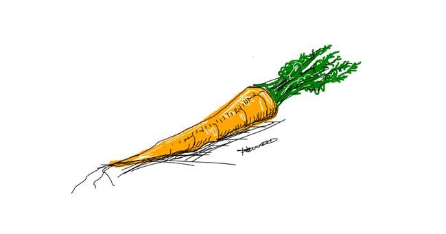 Drawing of Carrot by Hannah