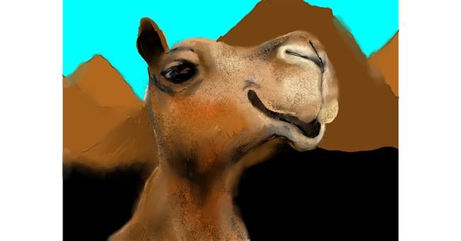 Drawing of Camel by SAM AKA MARGARET 🙄