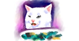 Drawing of Cat by luis