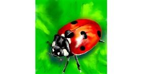 Drawing of Ladybug by ⋆su⋆vinci彡