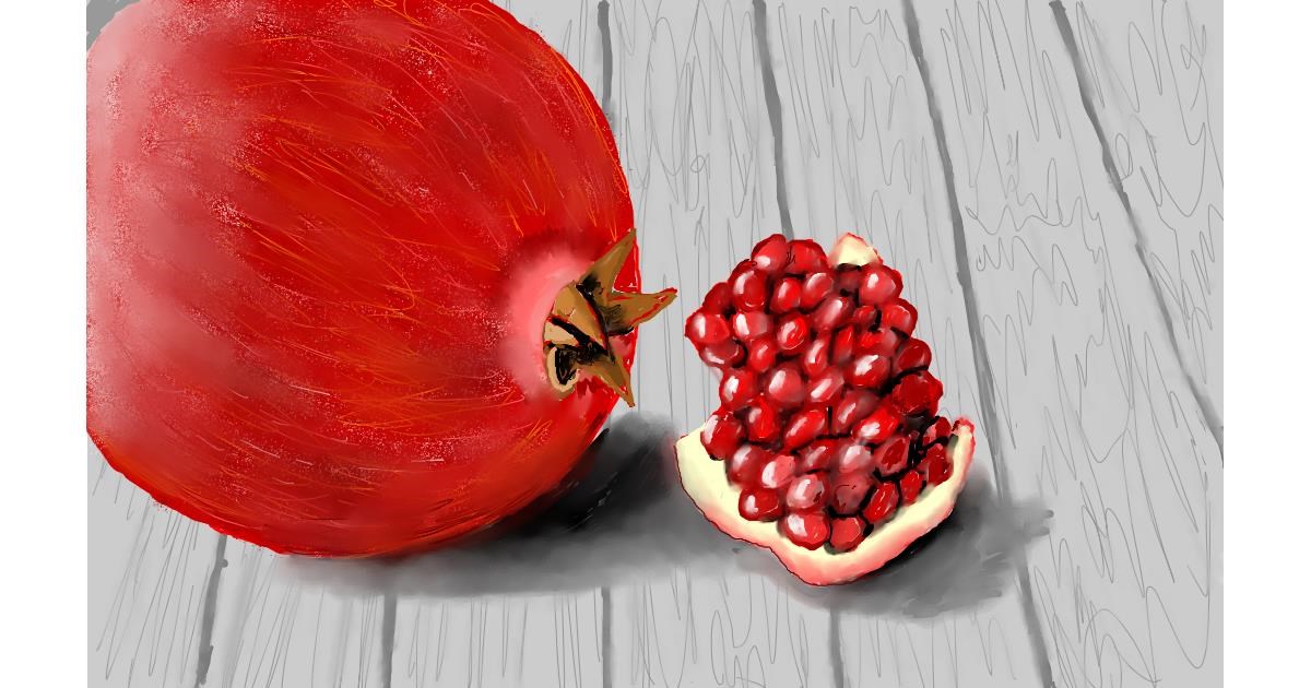 Drawing of Pomegranate by SAM AKA MARGARET 🙄