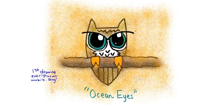 Drawing of Owl by shishi