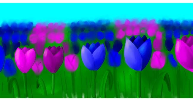 Drawing of Tulips by shelby