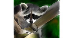 Drawing of Raccoon by Lou