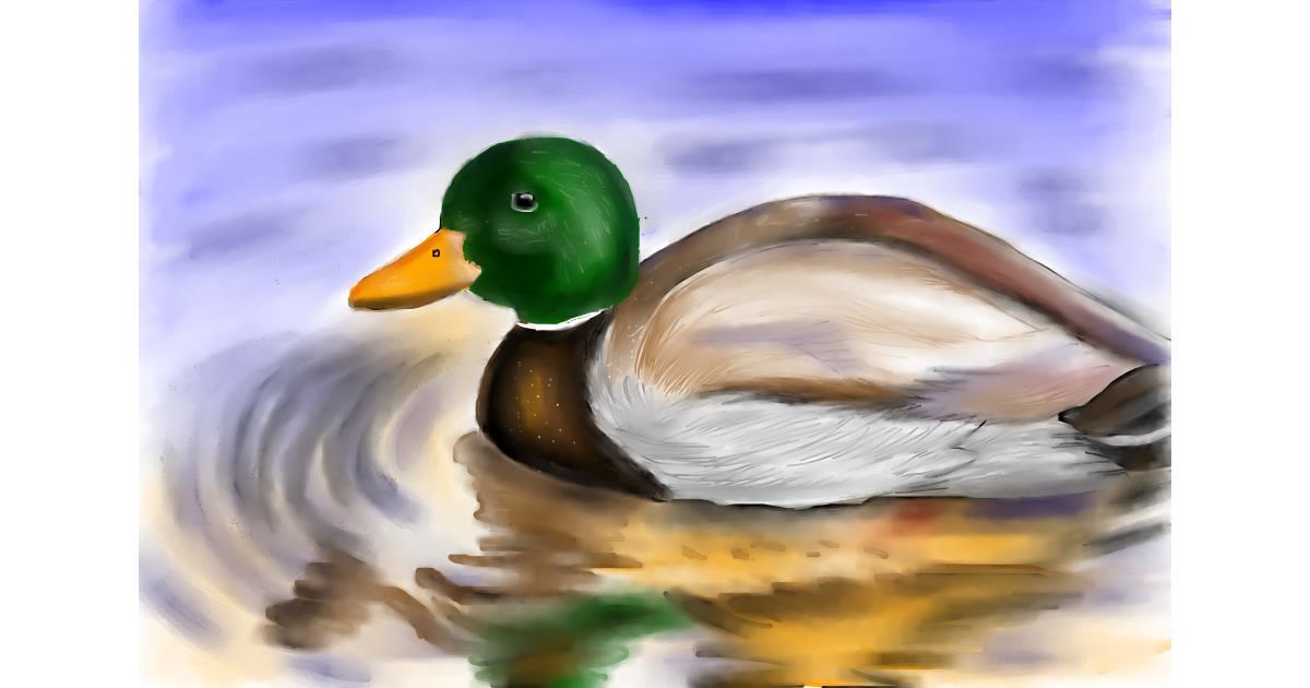 Drawing of Duck by Jan