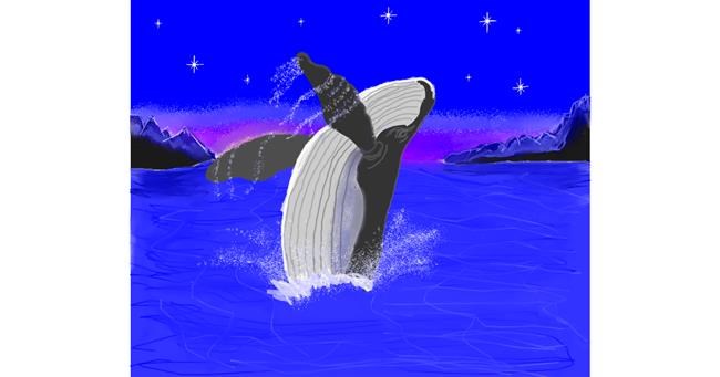 Drawing of Whale by Monja