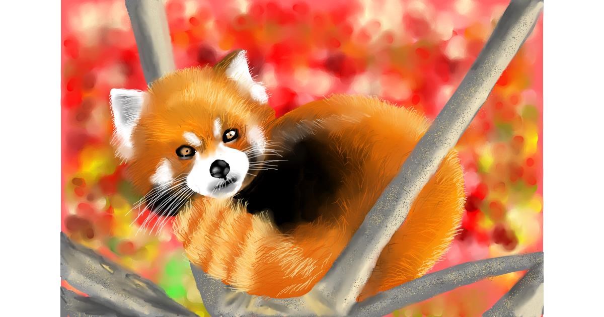 Drawing of Red Panda by RadiouChka