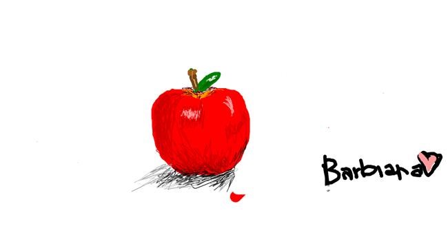 Drawing of Apple by barbiana