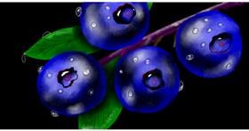 Borovnica - autor: Eclat de Lune