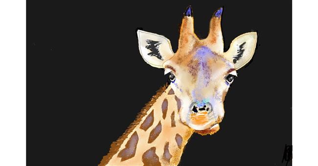 Drawing of Giraffe by GJP