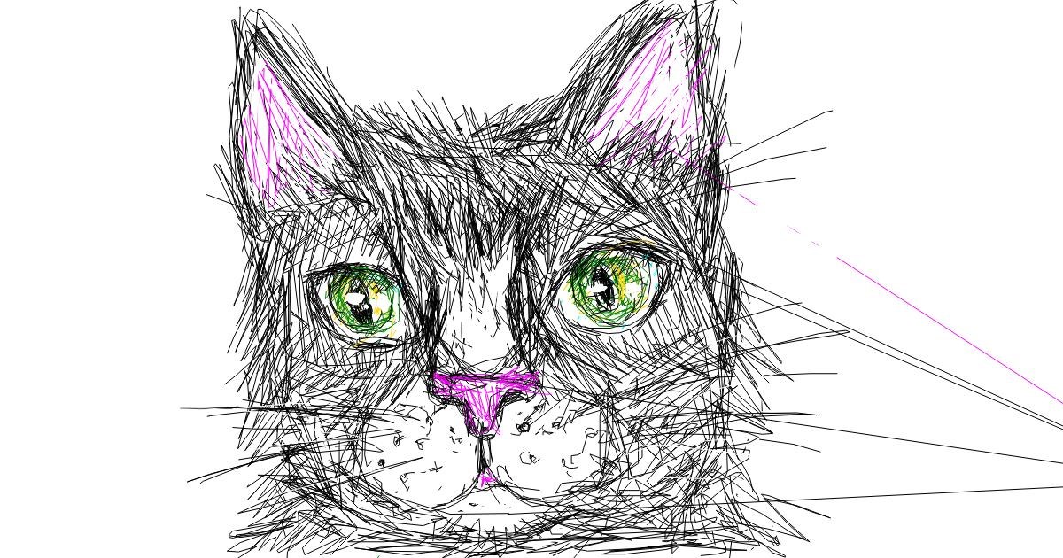 Drawing of Cat by Kiwi