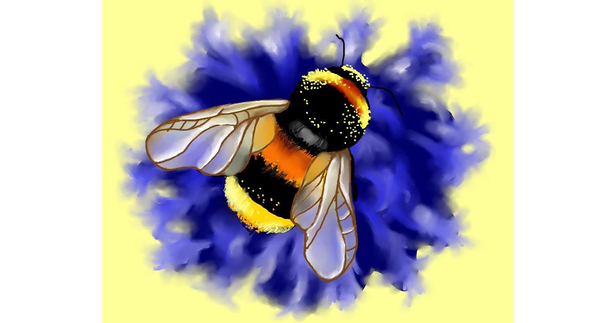Drawing of Bee by Cec