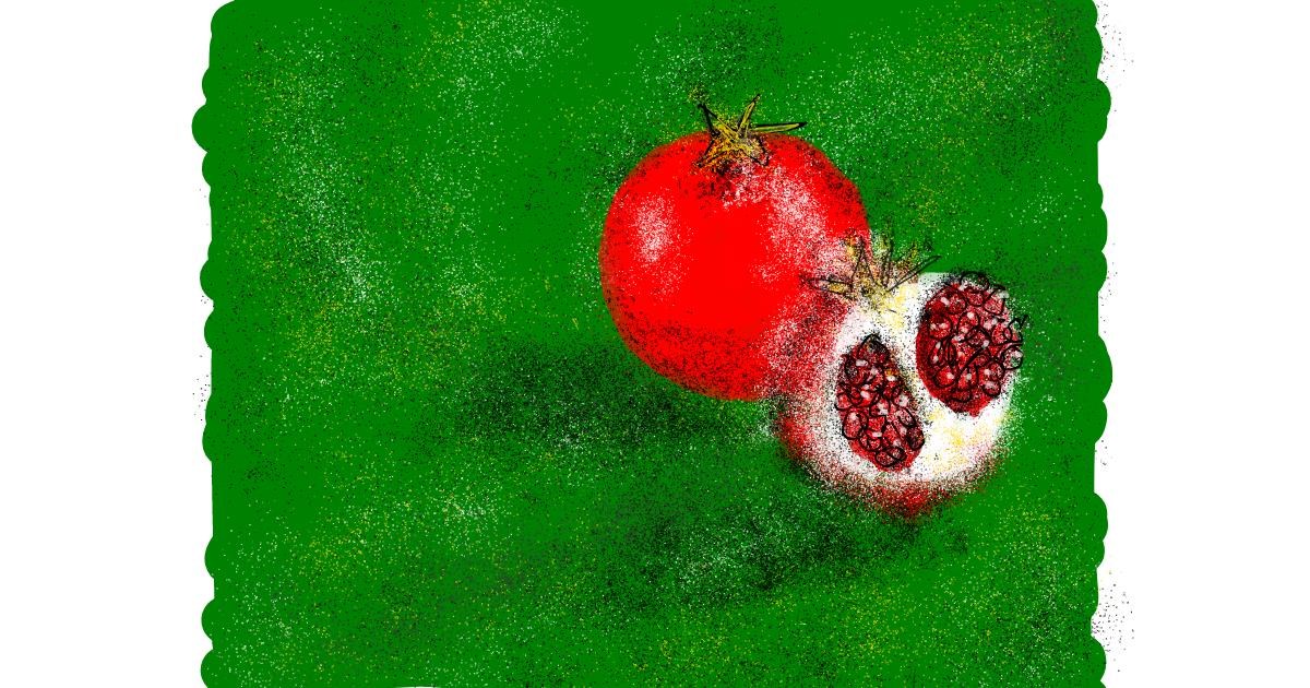 Drawing of Pomegranate by Nonuvyrbiznis 