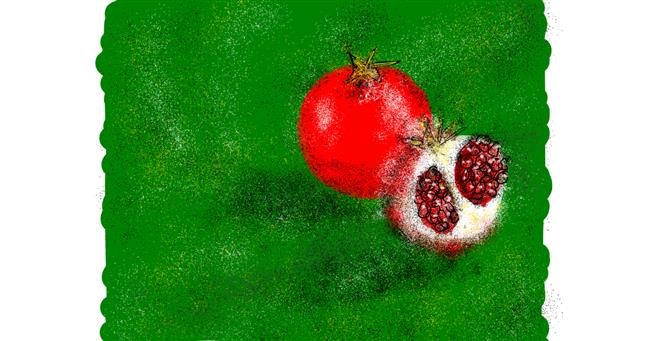 Drawing of Pomegranate by Nonuvyrbiznis 