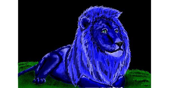 Drawing of Lion by Kaddy