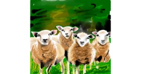 Drawing of Sheep by Rose rocket