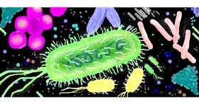 Drawing of Bacteria by Alex