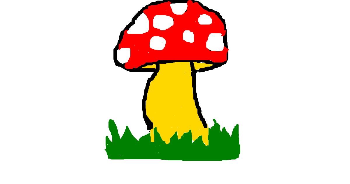 Drawing of Mushroom by MPK