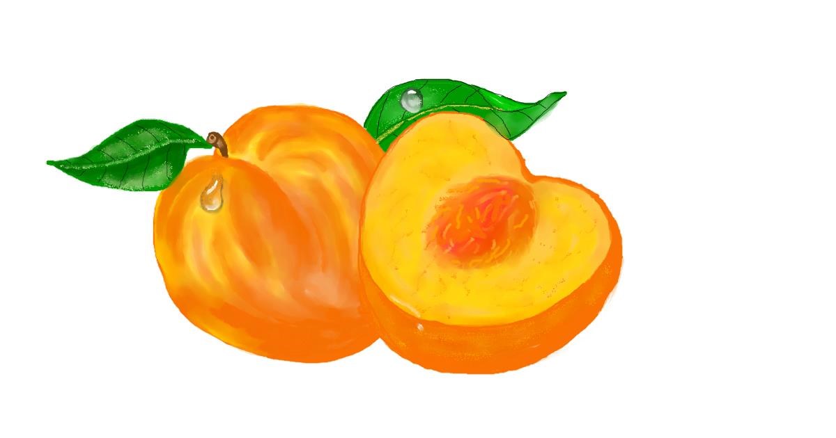 Drawing of Peach by Debidolittle