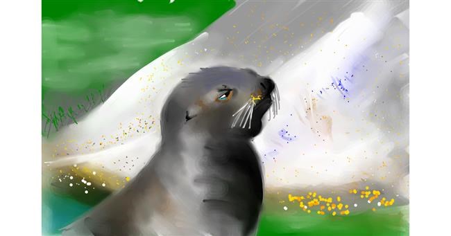 Drawing of Seal by Rak