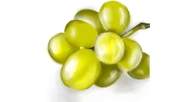 Drawing of Grapes by ⋆su⋆vinci彡