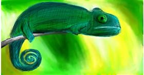 Drawing of Chameleon by Mia