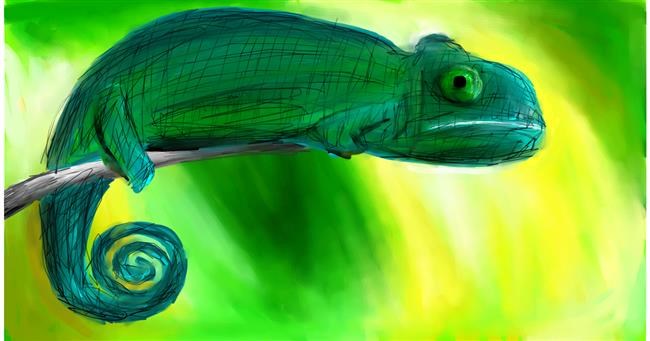 Drawing of Chameleon by Mia