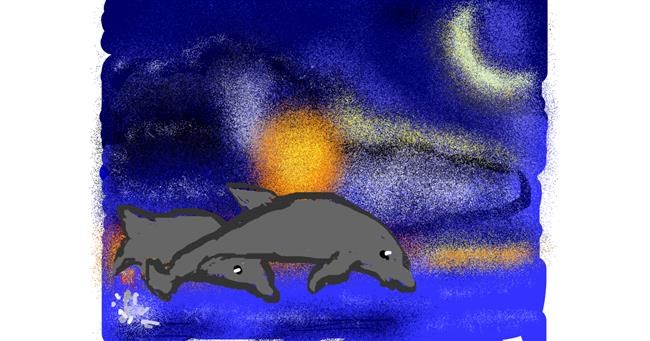 Drawing of Dolphin by Lori