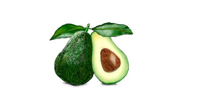 Drawing of Avocado by Chaching