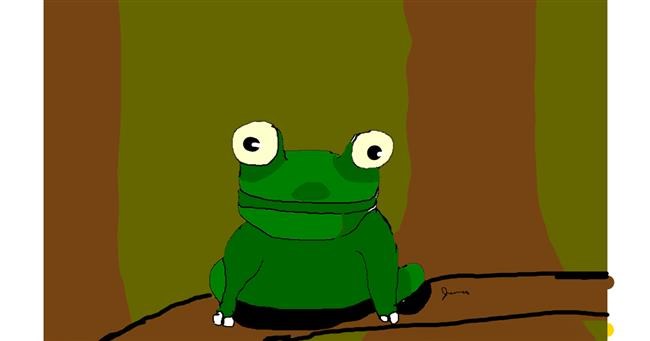 Drawing of Frog by Jessica