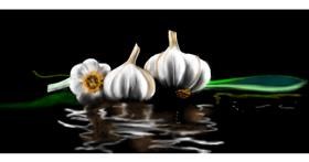 Drawing of Garlic by Chaching