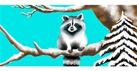 Rakun - autor: justme❤️