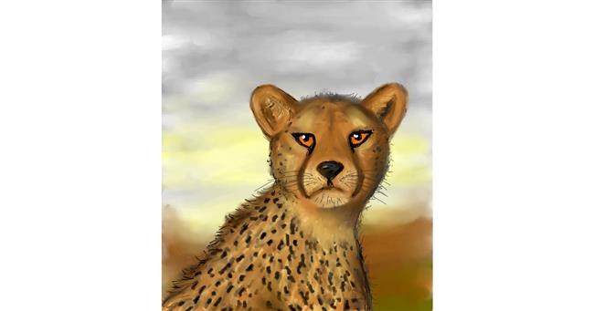 Drawing of Cheetah by Karaka♦️