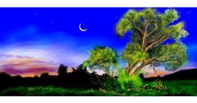 Drawing of Tree by Chaching