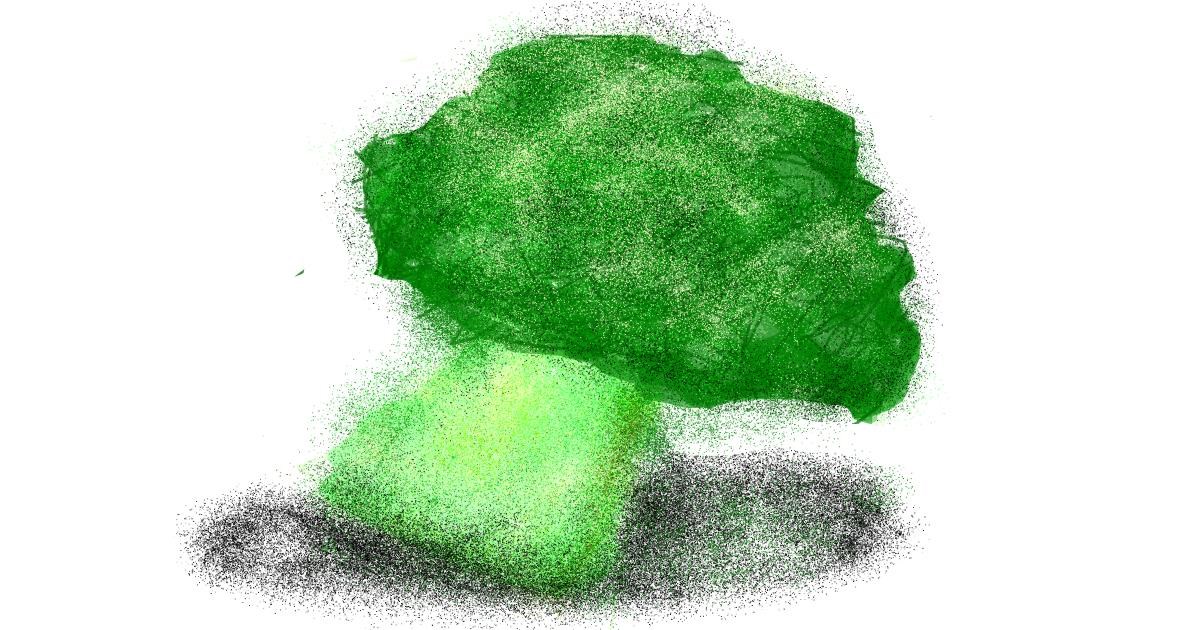 Drawing of Broccoli by cookie karr