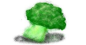 Drawing of Broccoli by cookie karr