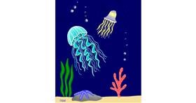 Drawing of Jellyfish by GreyhoundMama