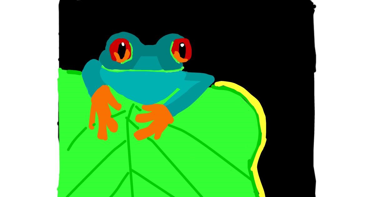 Drawing of Frog by MaRi