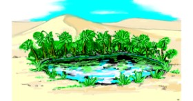 Drawing of Oasis by Flowerpot