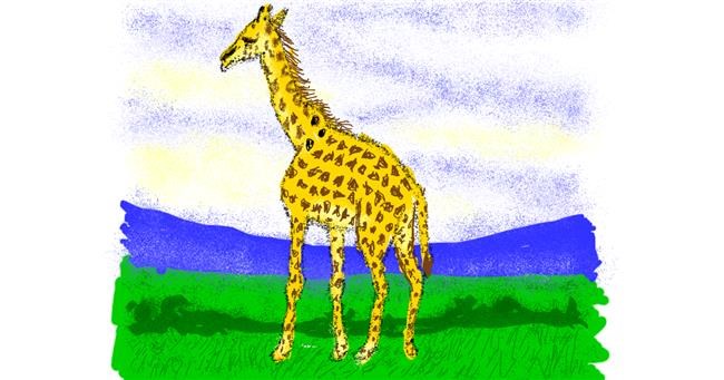 Drawing of Giraffe by Cherri