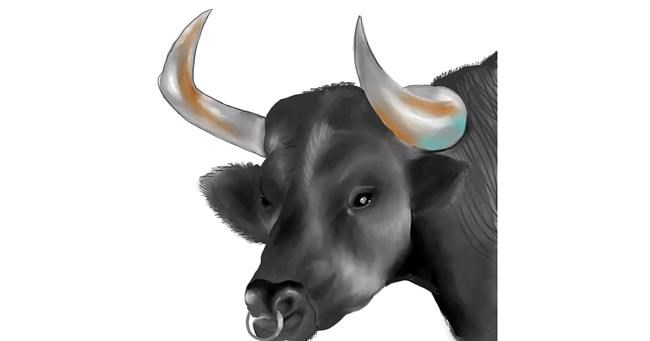 Drawing of Bull by Keke •_•